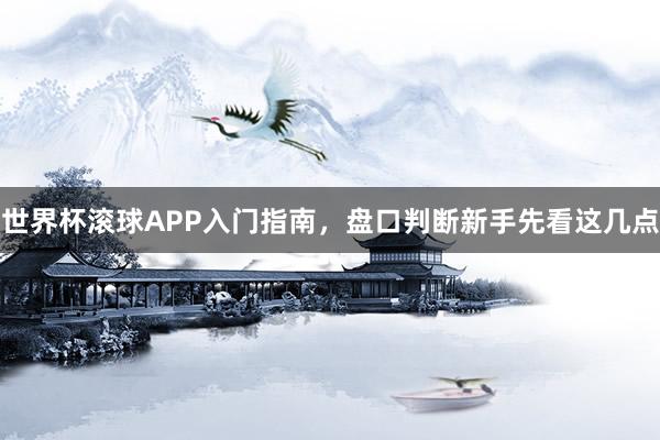 世界杯滚球APP入门指南，盘口判断新手先看这几点